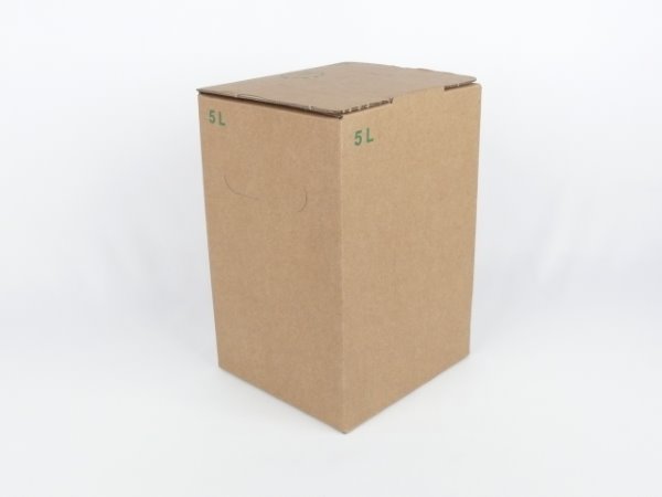 Karton Bag in Box 5 Liter braun, Saftkarton, Faltkarton, Apfelsaft-Karton, Saftschachtel, Schachtel. - 1
